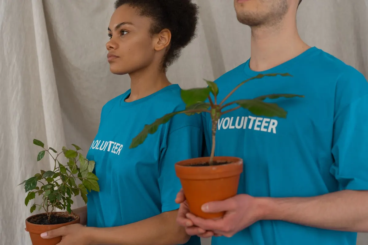 Beginner's Guide to Joining a Community Garden Near Yorkdale